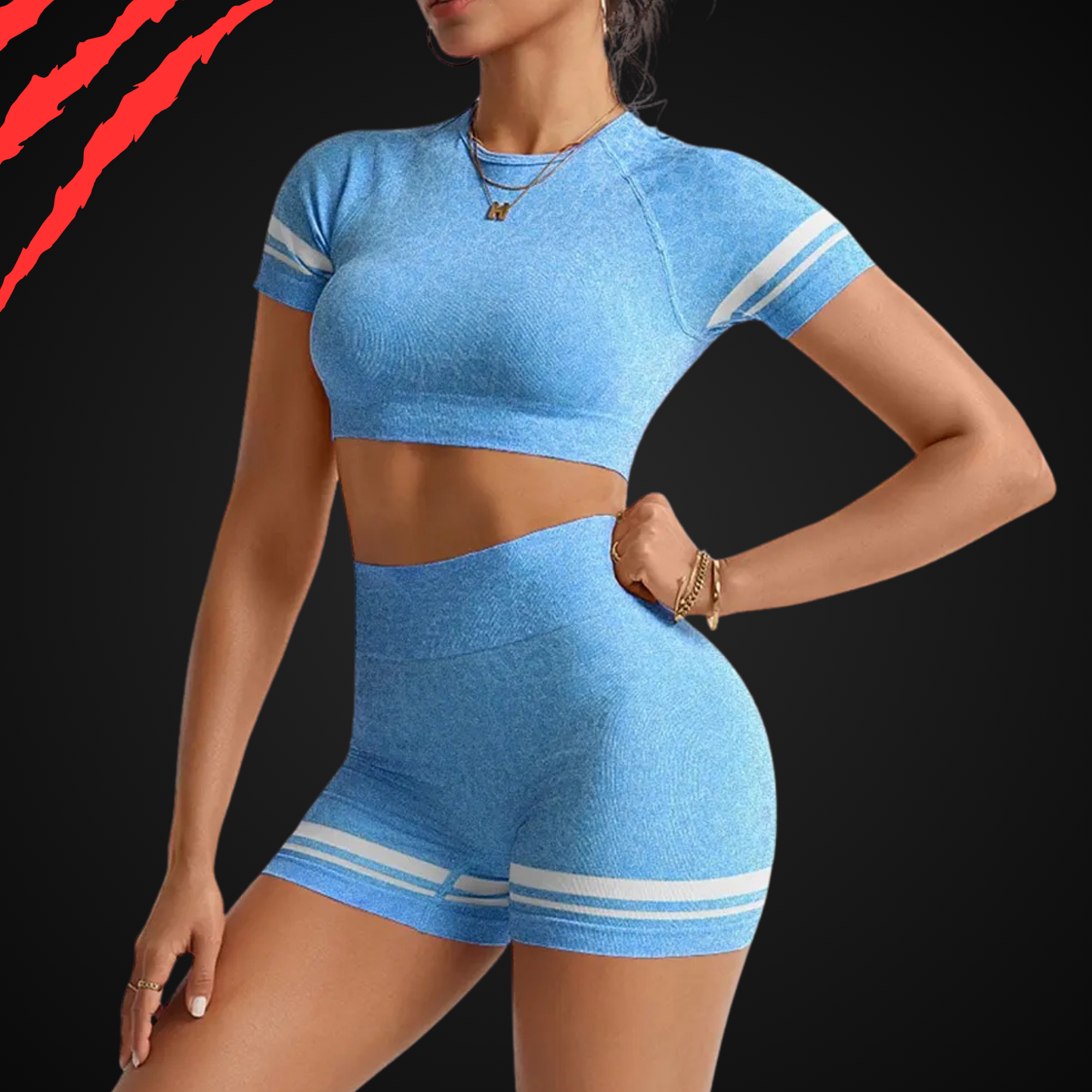 BurnRex Cheetah V-Back Set