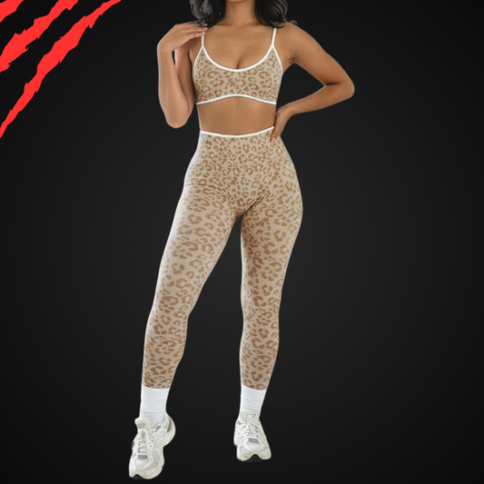 BurnRex Cheetah Seamless Set